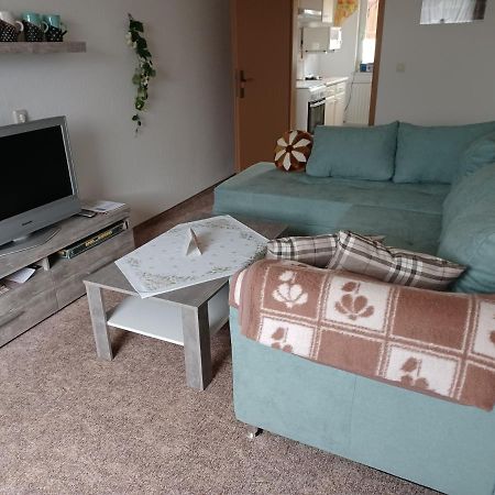 Ferienwohnung Reinhardtsdorf-Schona 외부 사진
